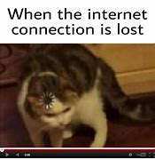 Image result for Cat Loading Bar Meme