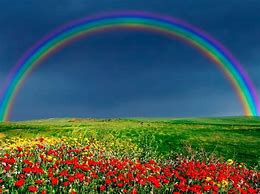 Image result for Rainbow Color Nature
