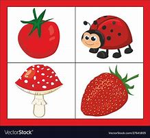 Image result for Shades of Red for Kids