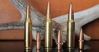 Image result for 243 Winchester Vs.308