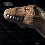 Image result for Natural History Museum Exhibits