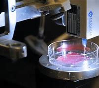 Image result for 3D Printing Bioprinting