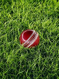 Image result for Cricket Ball vs Baseball