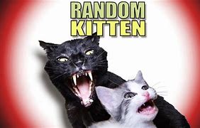 Image result for Random Talking Kitty Cat