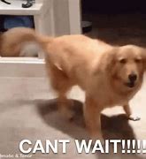 Image result for Can't Wait Excited Meme