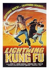 Image result for Kung Fu Movie Posters