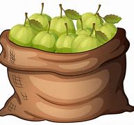 Image result for 5 Lb Bag of Apple's