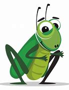 Image result for Transparent Cricket Bug