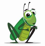 Image result for Funny Cricket Insect Fred