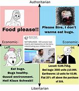 Image result for Our Bugs Meme