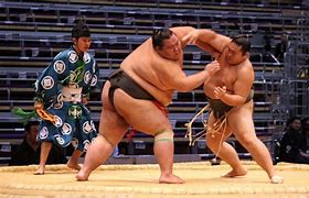 Image result for Biggest Sumo