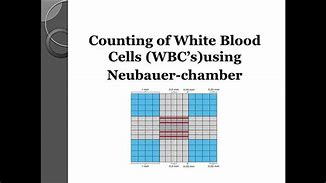 Image result for Cell Count Meme