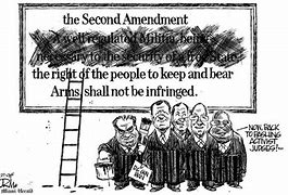 Image result for Anti 2nd Amendment Cartoon