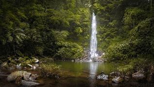 Image result for Jungle and Desert and Water Scapes