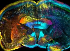 Image result for Science Meets Art