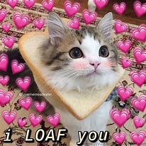 Image result for Cats in Love Meme