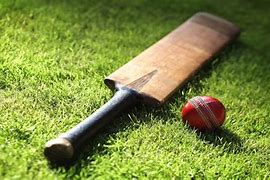 Image result for Cricket Things