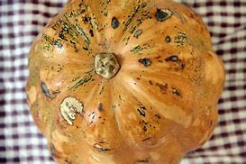 Image result for Funny Looking Squash