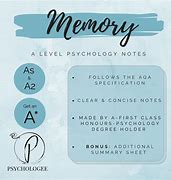 Image result for Memory AP Psychology