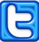 Image result for Neon Twitter Logo Transparent