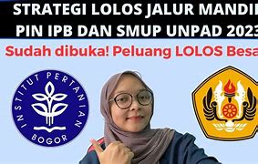 Image result for Pin IPB