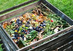Image result for Compost Pile for Gardens