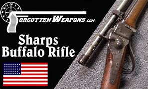 Image result for Scoped Sharps Rifle