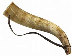 Image result for Giant Cow Horn