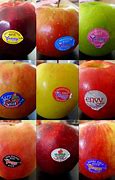 Image result for New Zealand Apple Variety