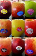 Image result for New Zealand Apple's Varieties