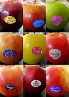 Image result for NZ Apple Varieties