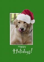 Image result for Merry Christmas to a Dog Walker