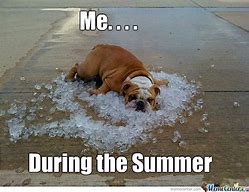 Image result for First Day of Summer Funny Memes