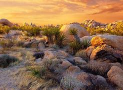 Image result for Mojave Desert Land