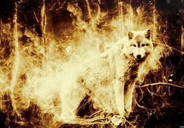 Image result for Wolf Image Carrying Fire in Mouth