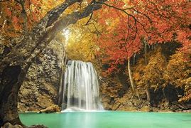 Image result for Windows 10 Fall Lock Screen Images