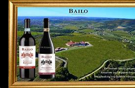 Image result for bailaxo