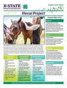 Image result for 4-H Horse Poster Ideas