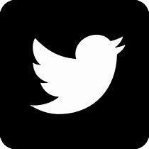 Image result for Black White Transparent Twitter Logo