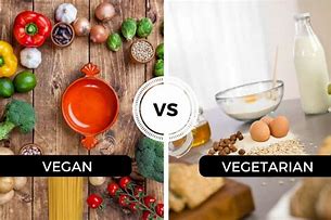 Image result for Difference Between Vegan and Vegetarian Diet