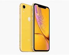 Image result for iPhone 11 vs XR