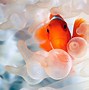 Image result for Underwater Wallpaper Surface