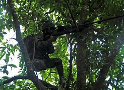 Image result for Sniper in the in a Tree