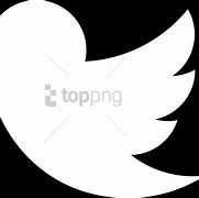 Image result for Twitter Bird Logo Transparent