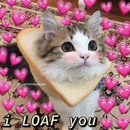 Image result for Sad Cat Love Meme