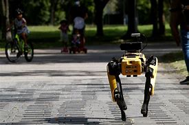 Image result for Future Robot Dogs