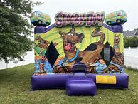 Image result for Scooby Doo Inflatable