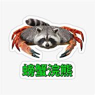 Image result for Crab Raccoon Meme