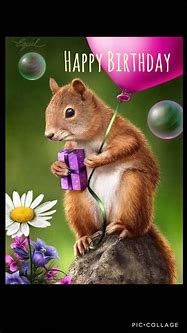 Image result for Squirrel Birthday Meme