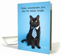 Image result for Happy Boss Day Cat